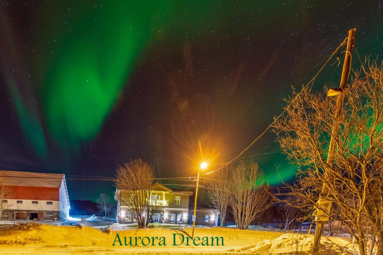 Aurora Dream Apartment Svensby ภายนอก รูปภาพ